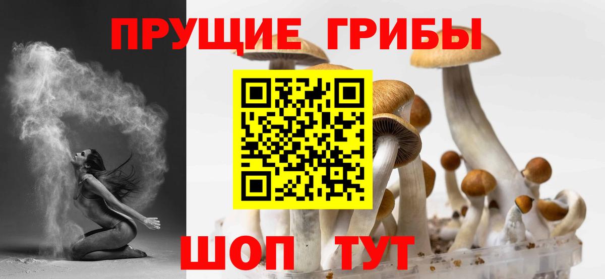 Псилоцибиновые грибы прущие грибы Щёкино
